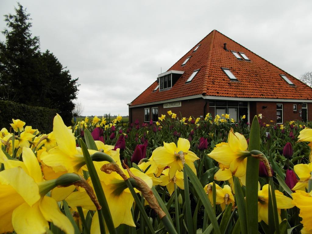 Pension Zonneweelde Oosthuizen Exterior foto